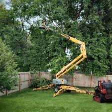 Best Lot and Land Clearing  in Stratford Downtown, CT